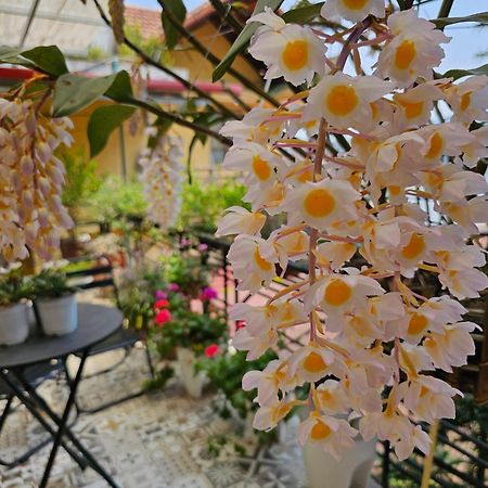 Dang Khoa Garden Inn Sa Pa Ngoại thất bức ảnh