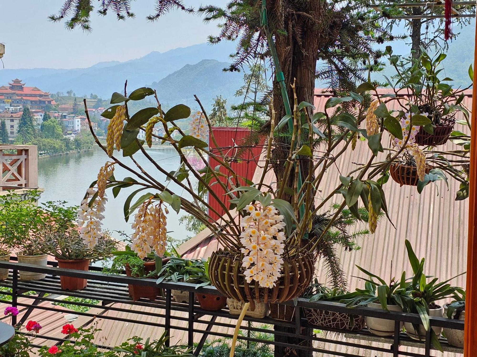 Dang Khoa Garden Inn Sa Pa Ngoại thất bức ảnh