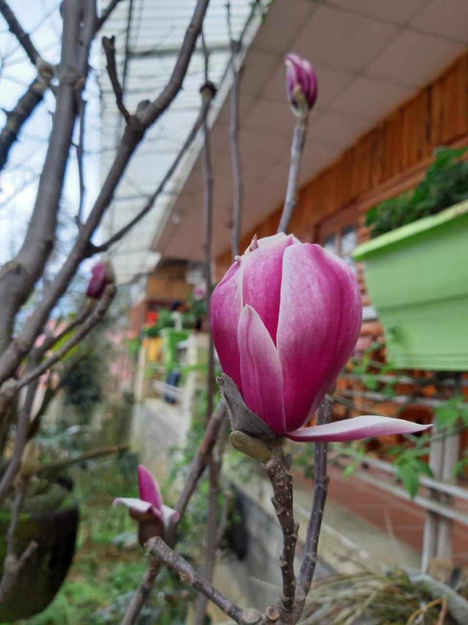 Dang Khoa Garden Inn Sa Pa Ngoại thất bức ảnh